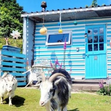 Hotel Treguth Glamping Unique Experience - Themed Huts Saint Day Exterior foto