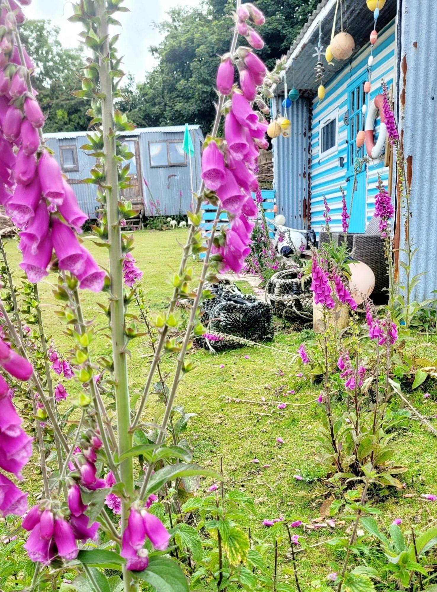 Hotel Treguth Glamping Unique Experience - Themed Huts Saint Day Exterior foto