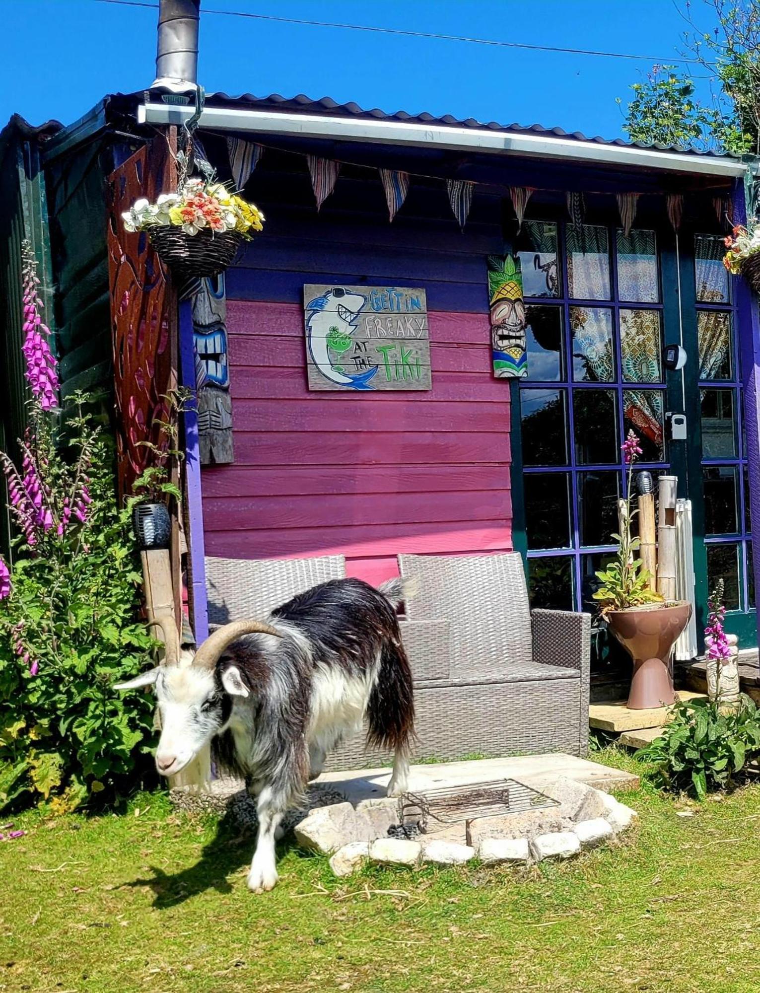 Hotel Treguth Glamping Unique Experience - Themed Huts Saint Day Exterior foto