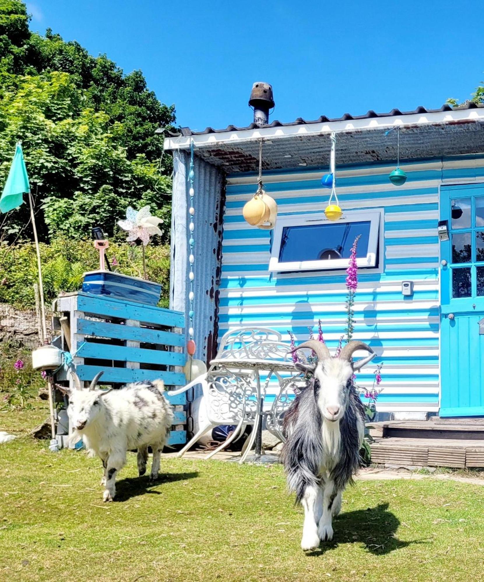 Hotel Treguth Glamping Unique Experience - Themed Huts Saint Day Exterior foto